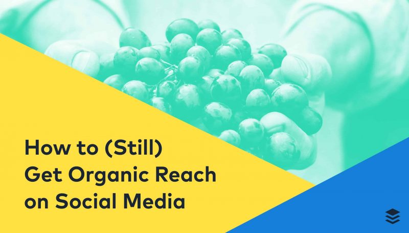 social media organic reach 1 e1538648734640