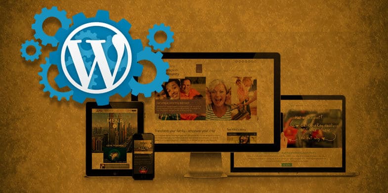 7 Tricks and Tips for managing a WordPress website 785 391